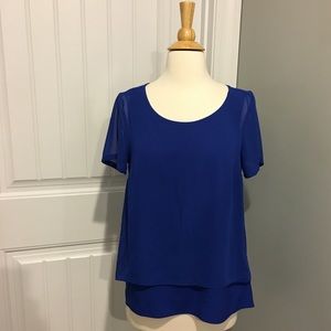 Gorgeous Dana Buchman Blouse